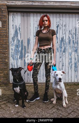 Femme avec ses deux grands chiots sur une promenade Banque D'Images