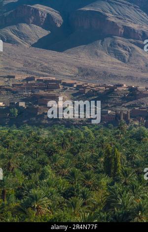 La palmeraie d'Agdz Oasis, sud du Maroc : une tapisserie de Date Palms Banque D'Images