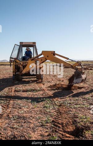 Plantation d'amandiers : exploitation agricole creusage des trous dans le champ à l'aide d'une pelle hydraulique Banque D'Images