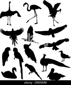 Collection silhouettes oiseaux. Faune tropicale, oiseaux de mer et oiseaux de mer. Illustration vectorielle. Mises en plan manuelles isolées sur fond blanc Illustration de Vecteur