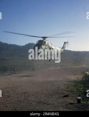 USA Vietnam-Krieg / guerre du Vietnam - USMC United States Marine corps Sikorsky HUS-1 / UH-34D / S-58 hippocampe Banque D'Images