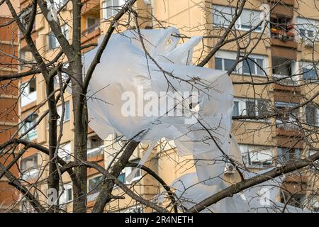 Matériau d'emballage en plastique dans la cime d'arbres sur la rue avec l'immeuble d'appartements en arrière-plan, foyer sélectif Banque D'Images