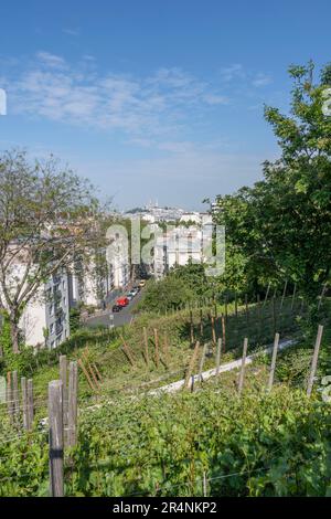 Paris, France - 05 20 2023: . Vue sur le quartier de Montmartre et la basilique du coeur sacré depuis la place des Chaufouriers Banque D'Images