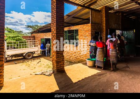 Transporteur chargé de fruits à la banane verte. La chaîne de valeur de la banane est en cours de reconstruction au Malawi. Les commerçants et grossistes locaux attendent leurs marchandises à la station de vente de l'entrepôt de bananes cadeaux nature. Plantation de bananes au Kumbali Country Lodge à Lilongwe, Malawi Banque D'Images