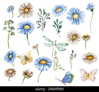 Blue and white chamomile flowers set. For nursery, baby shower, invitation for birthday party. Watercolor illustration for greeting card, posters, sti Banque D'Images