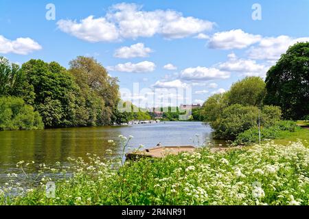 Le bord de rivière à Twickenham lors d'un chaud été grand Londres Angleterre Royaume-Uni Banque D'Images