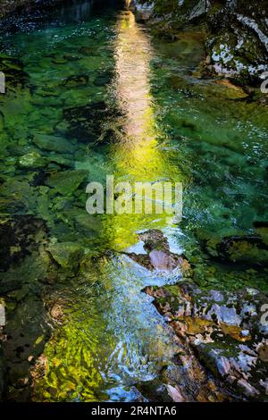 La lumière du soleil brille dans l'eau de la rivière Radovna dans la gorge de Vintgar, parc national de Triglav, Slovénie. La réflexion étroite de la lumière provient du passage Banque D'Images