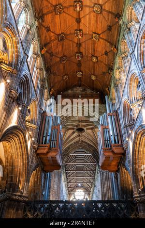 Intérieur de la cathédrale de Glasgow dans la ville de Glasgow, Écosse, Royaume-Uni. Église gothique datant du 12th siècle, voûte et orgues de pipe dans le choeur Banque D'Images