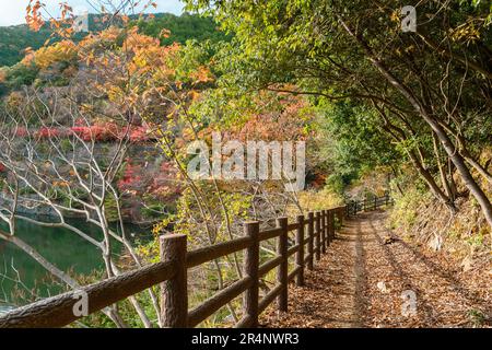 Parc Minoh chemin de sentier du lac du barrage Minoogawa avec feuilles d'automne à Osaka, Japon Banque D'Images