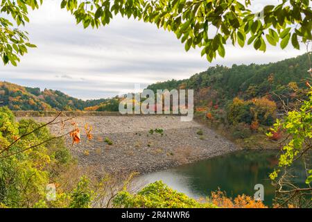 Parc Minoh Lac du barrage Minoogawa avec feuilles d'automne à Osaka, Japon Banque D'Images