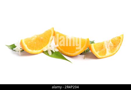 Tranches d'oranges mûres et de branches fleuries sur fond blanc Banque D'Images