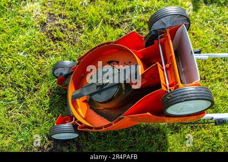 Petite tondeuse électrique motorisée sur la pelouse, elle est de couleur orange, avec des lames visibles. Banque D'Images