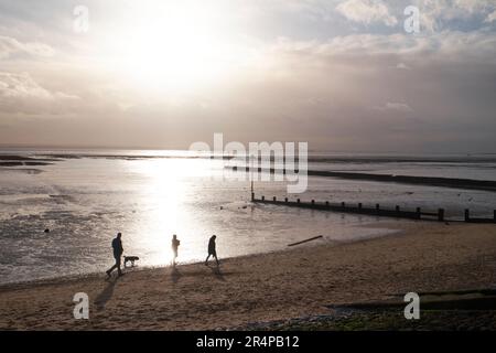 Marcheurs pour chiens sur Southend Beach, Essex, Royaume-Uni Banque D'Images