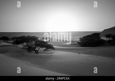 Mauritanie, région d'Adrar, El Beyedh, paysage Banque D'Images