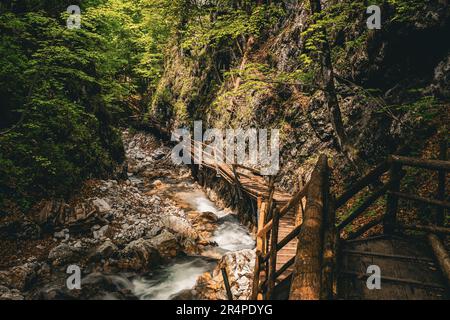 Vue sur les randonneurs marchez le long de l'eau blanche en cascade sur les rochers à la pittoresque gorge Dr. Vogelgesang-Klamm à Spital am Pyhrn, Autriche Banque D'Images