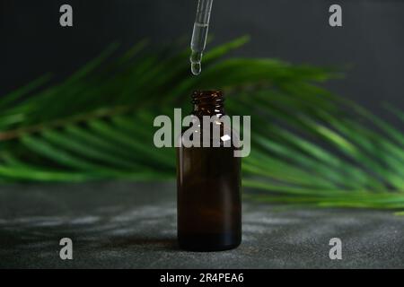 Goutte de liquide clair, d'huile, de sérum ou de teinture s'écoulant de la pipette dans le col d'un flacon médical marron sur fond noir avec des feuilles de palmier. Banque D'Images