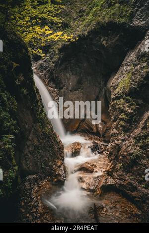 Vue sur la nature sauvage sauvage du Dr. Vogelgesang-Klamm à Spital am Pyhrn, Autriche, une gorge étroite avec ruisseau d'eau vive sauvage qui descend les rochers Banque D'Images