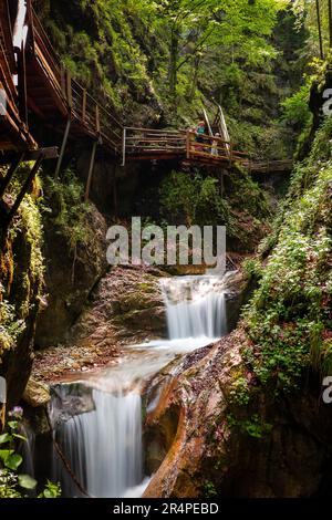 Vue des randonneurs regardant vers le bas à l'eau blanche en cascade sur les rochers à la pittoresque gorge Dr. Vogelgesang-Klamm à Spital am Pyhrn, Autriche Banque D'Images