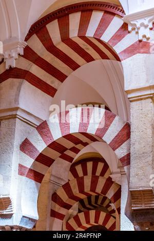 Espagne, Andalousie, Cordoue, intérieur de la Mosquée - Cathédrale de Cordoue, arches en forme de cordonnerie Banque D'Images