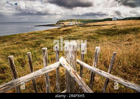 Scène de la côte est d'une clôture en bois surplombant des champs herbeux et de hautes falaises rocheuses sous un ciel spectaculaire près d'Elliston Terre-Neuve Canada. Banque D'Images