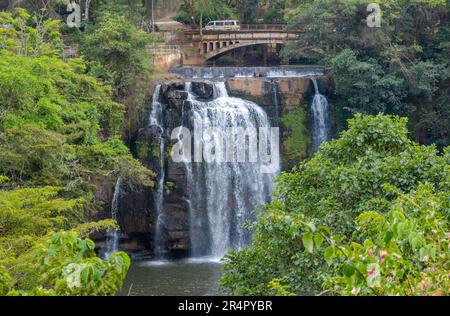 Une chute d'eau entourée d'une forêt luxuriante. Kenya, Afrique. Banque D'Images