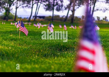 Image capturant la scène poignante des drapeaux américains marquant les tombes des vétérans au cimetière national de Riverside le jour du souvenir 2023, Banque D'Images