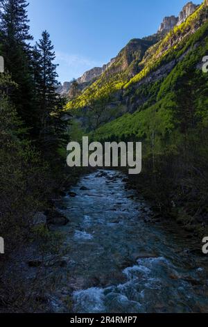Exploration de la rivière immaculée de la montagne dans les Pyrénées espagnoles Banque D'Images
