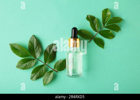 Bouteille de soin naturel pour la peau et feuille verte biologique, ingrédients de fleurs avec la verrerie de laboratoire sur fond de menthe. Huile essentielle. Haut vi Banque D'Images