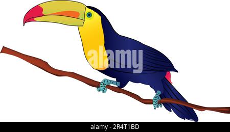 Oiseau Toucan facturé au keel Illustration de Vecteur