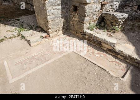 Butrint, Albanie - 16 septembre 2021 : mosaïques sur le sol de la Grande Basilique dans le parc national de Butrint, Buthrotum, Albanie. Banque D'Images