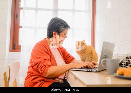 Le portrait d'un aîné heureux utilisant un ordinateur portable avec son chat. Bonne vieille femme à la retraite Banque D'Images