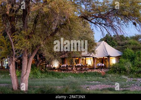 Camp Onguma Tented, réserve de gibier Onguma, Namibie, Afrique Banque D'Images