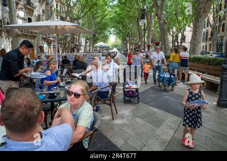 Bars et restaurants à Paseo del borne ou Paseo del borne, promenade Passeig des Born, Palma de Majorque, Majorque, Iles Baléares, Espagne Banque D'Images