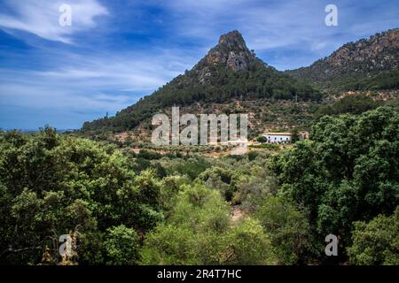 Serra de Tramuntana. Paysage depuis la fenêtre du train tren de Soller train historique d'époque qui relie Palma de Majorque à Soller, Majorque, Bale Banque D'Images