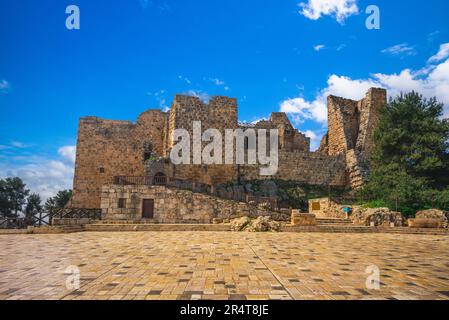 Château d'Ajloun, QA lat ar-Rabad, dans le nord de la jordanie Banque D'Images