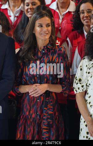 Madrid, Espagne. 30th mai 2023. Reine espagnole Letizia Ortiz lors d'une cérémonie commémorative de la Journée mondiale des sociétés de la Croix-Rouge et du Croissant-Rouge à Madrid, le mardi 30 mai 2023. Credit: CORMON PRESSE/Alamy Live News Banque D'Images