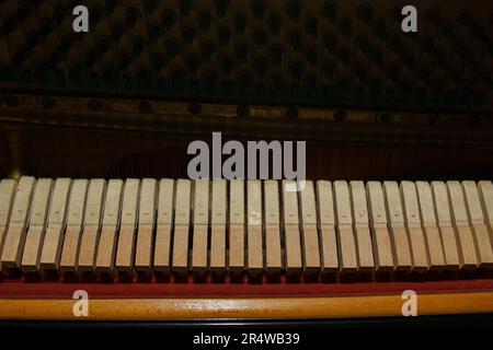 Pièces internes d'un vieux piano gros plan - mécanique, cordes. Mise au point sélective. Détails d'un instrument de musique de l'intérieur Banque D'Images