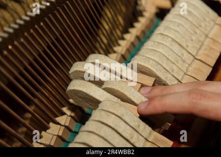 Un maître-technicien vérifie un piano pour un client. Gros plan de l'intérieur d'un piano. Réparation d'instruments de musique Banque D'Images