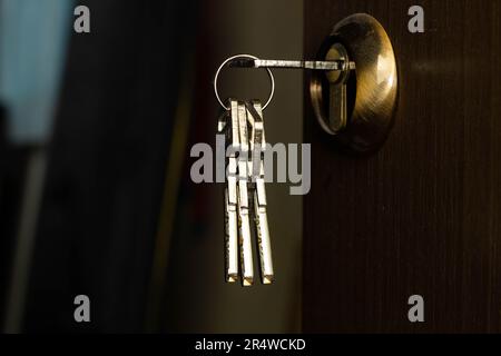 Une bande de clés dépasse de la serrure de porte. Les clés en acier inoxydable dépassent d'une serrure en laiton doré dans une porte intérieure marron. Porte d'entrée Banque D'Images