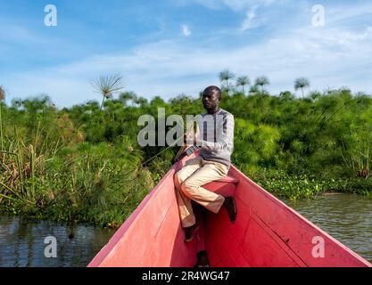 Un homme local assis sur l'arc d'un bateau rose, naviguant à travers le champ de roseau de Papyrus (Cyperus papyrus) près du lac Victoria . Kenya, Afrique. Banque D'Images