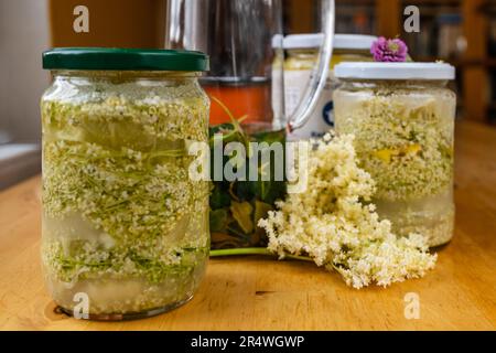 Préparation de sirop de fleur plus ancienne, macération de fleur en bouteilles sur la table. Banque D'Images