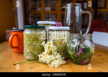 Préparation du sirop de fleur de fleur de l'aîné en bouteilles, carafe et pot sur la table. Banque D'Images