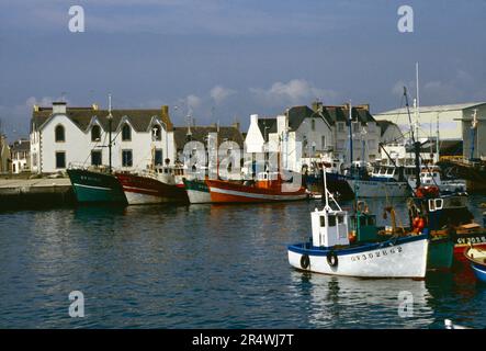 France. Bretagne. Port de Guilvinec. Banque D'Images