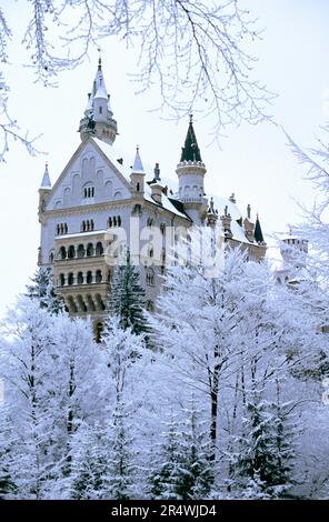 Allemagne. Bavière. Château de Neuschwanstein dans la neige. Banque D'Images