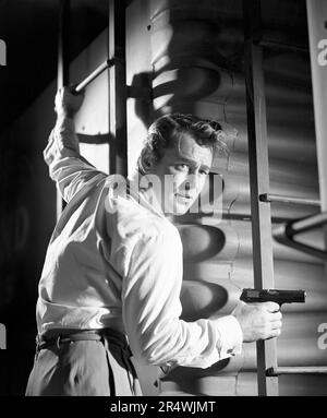 Rendez-vous avec le danger, 1951, est un film noir américain réalisé par Lewis Allen. Le drame stars Alan Ladd, Phyllis Calvert, Paul Stewart, entre autres. Banque D'Images