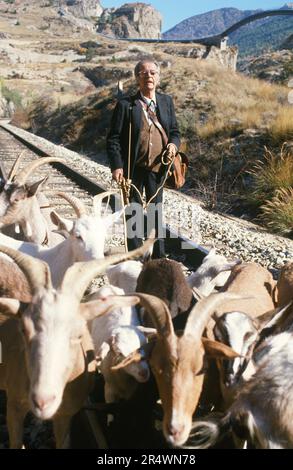 Grand beau (film TV) année: 1990 - France Directeur: Bernard Choquet Serge Reggiani Banque D'Images