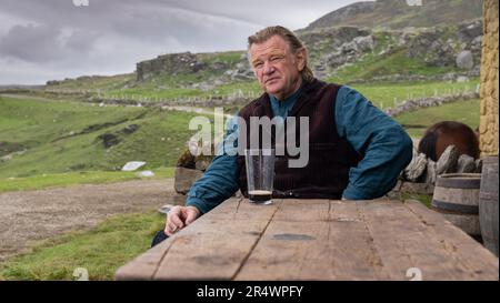 Les Banshees d'Inishenin année : 2022 Irlande Royaume-Uni Etats-Unis Directeur : Martin McDonagh Brendan Gleeson Banque D'Images