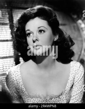 Susan Hayward sans nom USA, 1955 Directeur: Henry King Banque D'Images