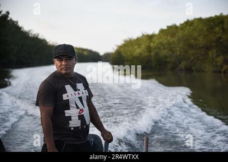 Nicolas Remene / le Pictorium - Sanctuaire national de mangrove de Tumbes - 24/10/2018 - Pérou / Tumbes / ? Zarumilla ? - Le sanctuaire national de Los Manglares de Tumbes dans la région de Tumbes au Pérou sur 24 octobre 2018. Situé dans la province de Zarimilla et bordant l'Équateur, il s'agit d'une zone naturelle protégée qui abrite la plus grande forêt de mangroves du Pérou. Banque D'Images