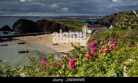 Découvrez la plage de Hope Cove, Devon, Royaume-Uni Banque D'Images